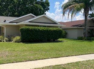 Natacia M.'s Bush Trimming service result