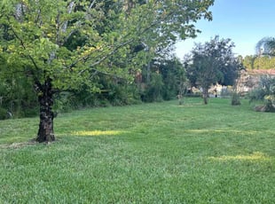 Brian M.'s turf maintenance service result
