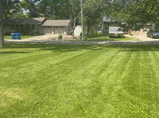 Latoria M.'s lawn service service result