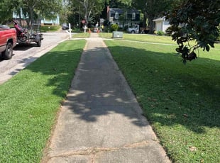 Roderick P.'s lawn maintenance service result