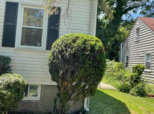 Richard H.'s Bush Trimming service result