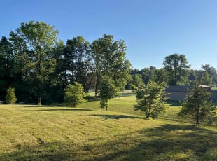 Ida S.'s lawn care services service result