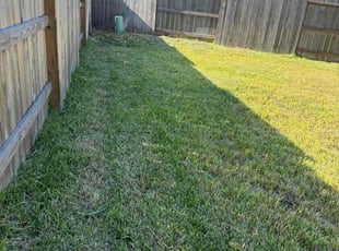 Angie W.'s grass maintenance service result