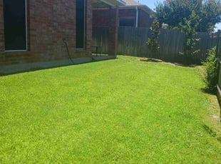 Janet T.'s lawn service service result
