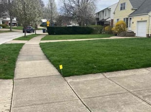 Davis S.'s Cleanups service result