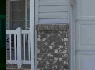 Stacey D.'s lawn care service result