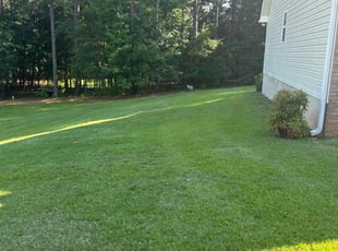 Umbra D.'s lawn maintenance service result