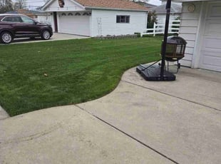 Jerry H.'s turf care service result
