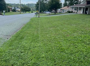 Agnes M.'s turf maintenance service result