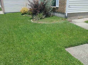 Statia H.'s grass maintenance service result