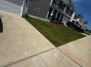 Juliana K.'s lawn care service result