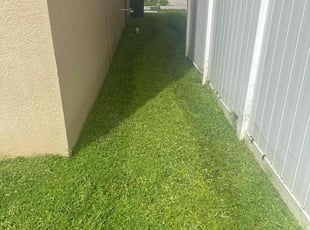 Jeanette R.'s grass maintenance service result