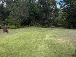 Chad P.'s lawn service service result