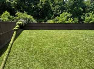 Jason D.'s turf care service result