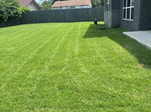 Brent M.'s turf maintenance service result