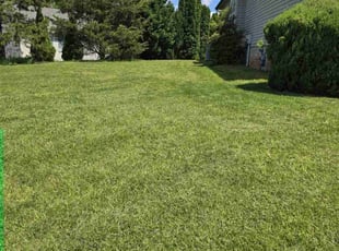 Court E.'s lawn service service result