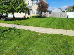 Linda B.'s lawn care service result