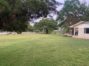 Cristina C.'s turf care service result