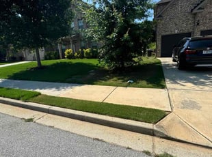 Alvin M.'s lawn care service result
