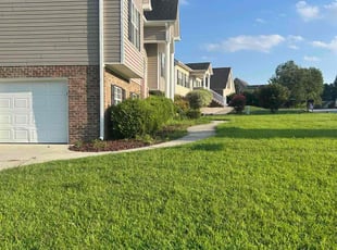 Jared S.'s grass maintenance service result