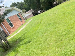 Janet L.'s turf maintenance service result