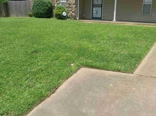 Jason J.'s grass cutting service result