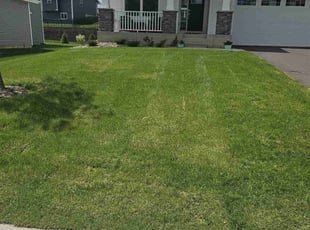 David N.'s lawn maintenance service result
