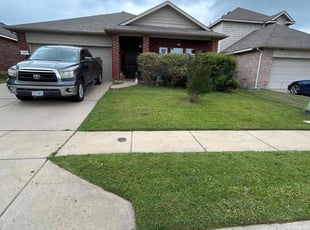 Emilie G.'s Front yard only service result