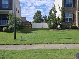 Jessica D.'s turf maintenance service result