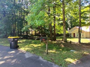 Michele A.'s lawn care services service result