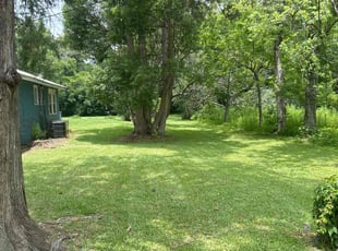 Carolyn L.'s grass maintenance service result