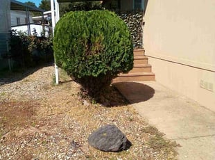 Melvin M.'s Bush Trimming service result