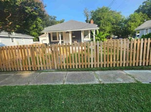 Sophia S.'s lawn care services service result