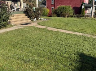 Rick D.'s lawn service service result