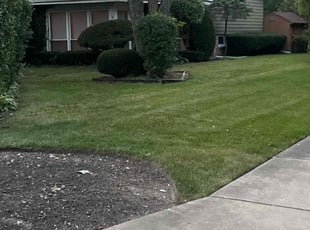 Marci G.'s lawn care services service result