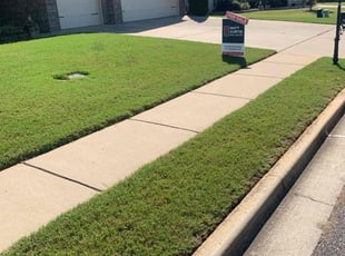 Alisha M.'s lawn care services service result
