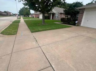 Sheilah C.'s turf care service result