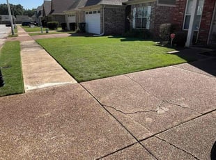 Brandon M.'s turf maintenance service result