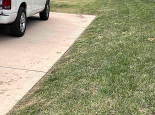 Noemi A.'s lawn maintenance service result