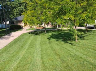 Maurice B.'s grass cutting service result