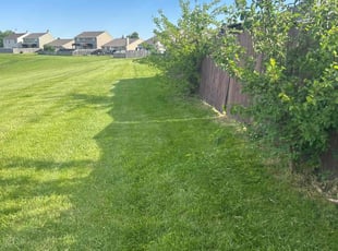 Teri S.'s lawn service service result