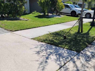 Marvin H.'s turf care service result