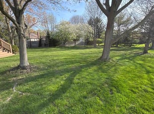 Thomes B.'s lawn service service result