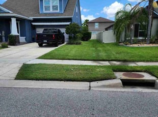 Dee C.'s lawn care service result