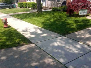 Michael J.'s lawn care services service result