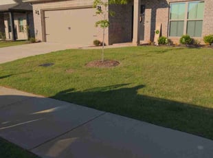 Kevin T.'s lawn care service result
