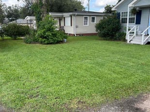Richard F.'s turf care service result
