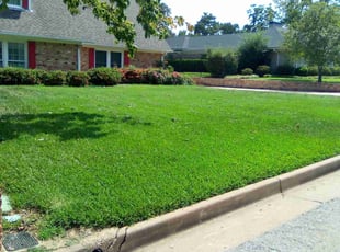 Jason W.'s turf maintenance service result