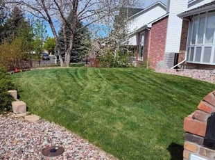 Cathy F.'s turf care service result