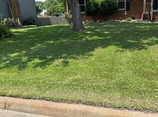 Dennis S.'s lawn maintenance service result